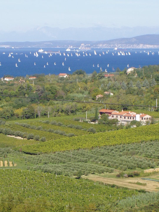 Azienda Agricola Vigna sul Mar